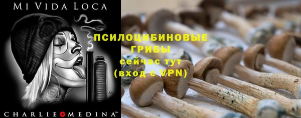 МДПВ Алексеевка
